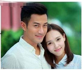 搜索电视剧,探寻热门电视剧背后的故事